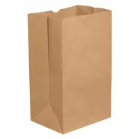 Kraft paper grocery bag with 7-inch width and 17-inch depth. Suitable for carrying groceries, parts, or supplies in retail and industrial packaging. Supplied in a 500-pack