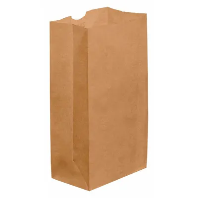 PARTNERS BRAND Grocery Bag, 4 in Wd, 12 5/12 in Dp, Kraft, 500 PK - Grocery Bags