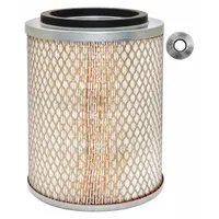 BALDWIN FILTERS Automotive Air Filter: Round-Oval, Engine, Round, Axial Seal, 1/2 in Inside Dia (MPN PA2904)