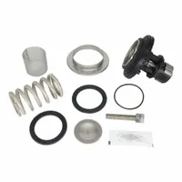 WILKINS Valve Repair Kit: EPDM/Resin/Rubber/Stainless Steel, Mfr Part # RK2-600XL3HR