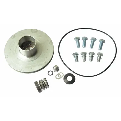 DAYTON Repair Kit: Mfr Part # 21TH03, 2ZWZ6/2ZWZ7 - Seal Kits & Gaskets for Straight Centrifugal Pumps