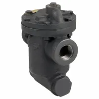 Steam Trap: Cast Iron, 3/4 in FNPT, 680 lb/hr, 125 psi Max., 450°F Max., Strainer Included (MPN 80S-C9D9)