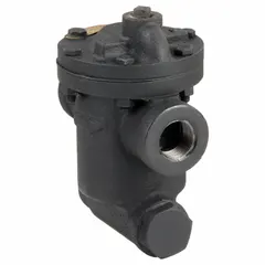 Standard inverted-bucket steam trap with cast iron body, 3/4 in FNPT connections, maximum capacity of 680 lb/hr, maximum pressure of 125 psi, and maximum temperature of 450°F. Configured for in-line horizontal installation and includes a built-in strainer. Used to discharge condensate from steam lines while preventing steam loss.