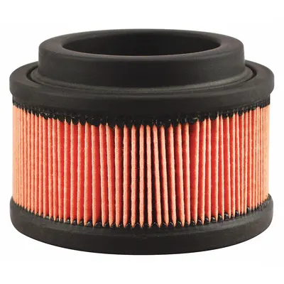 BALDWIN FILTERS Round/Oval Engine Air Filter PA5311 - Round/Oval Engine Air Filters
