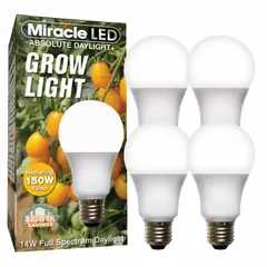 This MIRACLE LED A19 bulb emits a red spectrum tailored for vegetative growth in indoor plant cultivation. Operating at 120V, it provides a 150W incandescent watt equivalency. Suitable for use in standard A19 fixtures to support leafy growth in seedlings, clones, and mother plants.