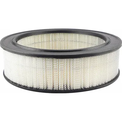 BALDWIN FILTERS PA2081 Round/Oval Engine Air Filter - Round/Oval Engine Air Filters