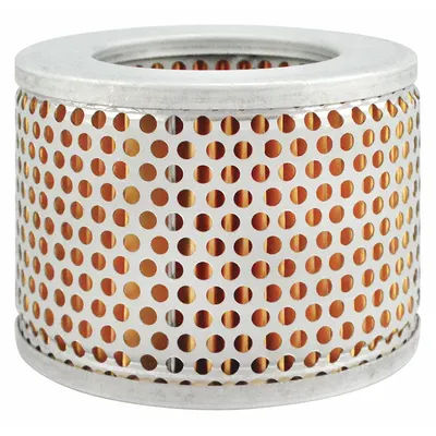 BALDWIN FILTERS PA2862 Round/Oval Engine Air Filter - Round/Oval Engine Air Filters