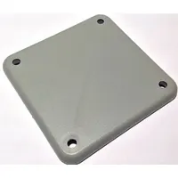 GE Raintight Hub Closing Cap: For GE PowerMark Gold and Plus Load Centers Circuit Breakers, 3 in Wd (MPN TCCP)
