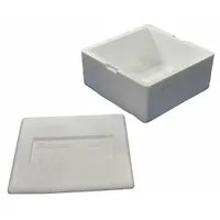 Insulated Shipping Container: 10 in x 10 in x 4 1/4 in, 0.75 in Insert Wall Thick, Styrofoam, 3 PK (MPN ON17F)
