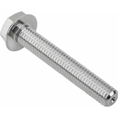 KIPP Hygienic Flanged Hex Head Screw M12 x 35 mm Grade 316L - Hygienic Flanged Hex Head Screws