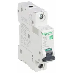 This 1-pole supplementary protector from the C60SP series features a D-curve trip characteristic, rated 16 A with AC voltage rating of 240/415 V AC and DC voltage rating of 60 V DC. It has a maximum interrupting rating of 14 kA at 120/240 V AC and uses screw clamp terminals. Suitable for overcurrent protection in industrial control panels, HVAC equipment, and lighting circuits.