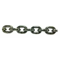 PEWAG Straight Chain: 9/32 in Trade Size, 63 Chain Grade, 316 Stainless Steel, Straight, Plain (MPN 38113/5)