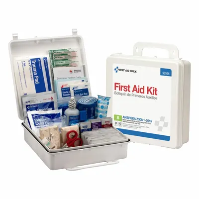 OEM First Aid Kit and Housing: 195 Components - Industrial ANSI First Aid Kits