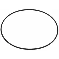 BALDWIN FILTERS O-Ring: Fuel Filter, O-Ring, Viton, 9/64 in Lg, 7 15/64 in Inside Dia. (MPN G382-V)