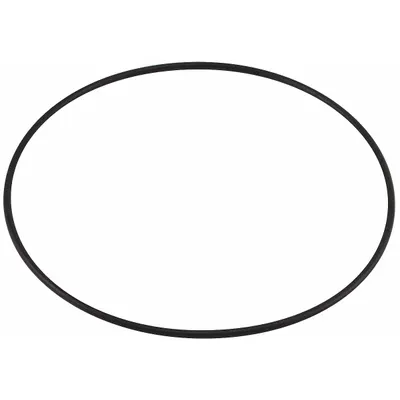 BALDWIN FILTERS O-Ring: Fuel Filter, O-Ring, Viton, 9/64 in Lg - Fuel Filter Accessories