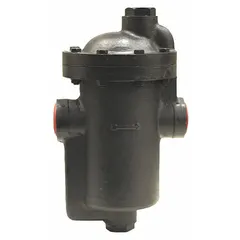 Cast iron inverted-bucket steam trap for horizontal in-line installation. 2-inch FNPT connection, maximum pressure 125 psi, maximum capacity 10,910 lb/hr. Strainer not included. Used for automatic condensate drainage in steam distribution and process heating systems.