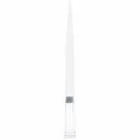 GLOBE SCIENTIFIC Filtered Pipette Tip: Sterile, 1,000 ul Capacity, Preconfigured Rack, Clear, 1,920 (MPN 150938)