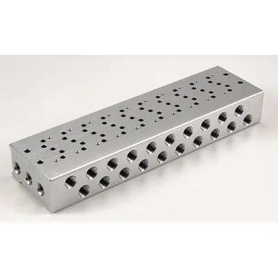 ARO Manifold: Side-Ported Body, 0°F to 122°F, 22 psi to 115 psi, Female 1/8 in NPT - ARO Sierra Series Manifolds & Bases