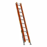 WERNER Extension Ladder: 20 ft Ladder Size, Fiberglass, 300 lb Load Capacity, 65 lb Wt, 2 Sections (MPN D6220-2VL)