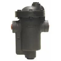 Steam Trap: Cast Iron, 1 in FNPT, 4,000 lb/hr, 30 psi Max., 450°F Max., Strainer Not Included (MPN IB13-4-30)