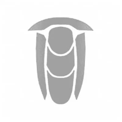 KASK Hard Hat Label: 7 5/16 in Ht, High Intensity Prismatic-Grade Retroreflective - Safety