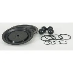 DAYTON Fluid End Repair Kit: Fluid End Repair Kit,, Santoprene, Santoprene. Key specifications — Manufacturer Part Number:.