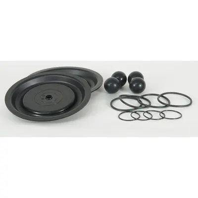 Dayton Fluid End Repair Kit: Fluid End Repair Kit,, Santoprene - Dayton Fluid-End Repair Kits