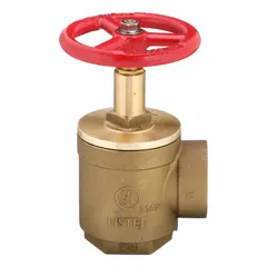 Brass angle-body hydrant gate valve with 2-1/2 in pipe size and 2-1/2 in female NPT connections. Used to control water flow in fire-protection and industrial hydrant systems, allowing quick hose attachment for emergency or maintenance water supply.