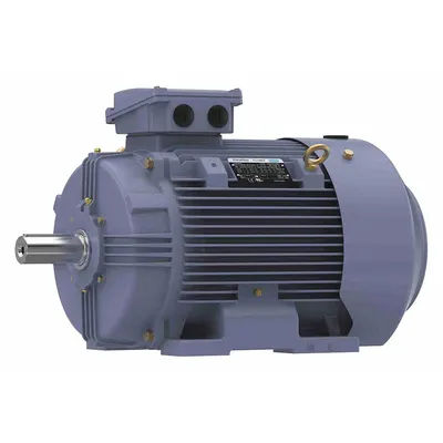 MARATHON MOTORS Rigid Base 3-Phase IEC Metric General Purpose AC Motor - Rigid Base 3-Phase IEC Metric General Purpose AC Motors