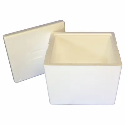 POLAR TECH Insulated Shipping Container: 13 3/8 in x 11 3/8 in x 11 7/8 in, 1.25 in Insert Wall Thick - Insulated Box & Foam Shipping Kits