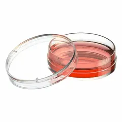 Polystyrene cell culture plate with round wells, 35 mm diameter and 3.5 mL capacity. Colorless, RNase/DNase free. Used for adherent cell culture and assays in life science laboratories.