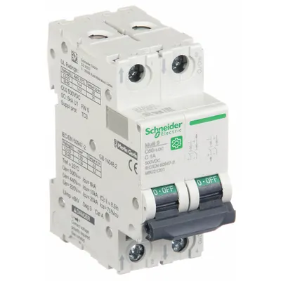 SCHNEIDER Supplementary Protector: 1 A Amps, 500V DC, 5kA at 250V DC, Screw Clamp - DC-Only Rated, 2-Pole UL1077 DIN Rail-Mount Supplementary Protectors