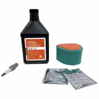 ARIENS Engine Maintenance Kit: Mfr Part # 70733000