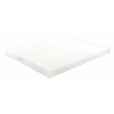 BALDWIN FILTERS PA4398 Panel Cabin Air Filter - Panel Cabin Air Filters