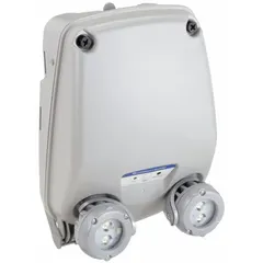 This LED emergency light is designed for wet locations, providing backup illumination during power outages. It features two lamp heads, a gray plastic housing, and surface mounting. Operates on 120 to 347V AC input voltage with 11 W emergency wattage. Includes self-diagnostics and remote capability. CA Title 20 compliant.