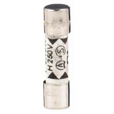 BUSSMANN Fuse: GDA Series, Fast-Acting, 5 A, 250 V AC, Non-Indicating - Fast-Acting Cylindrical Fuses