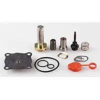 ASCO Valve Rebuild Kit (MPN 304691)