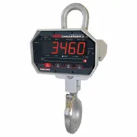 RICE LAKE WEIGHING SYSTEMS Crane Scale: 500 lb Wt Capacity - Imperial, +/-0.1% Accuracy, 0.2 lb (MPN MSI-3460-500RF)
