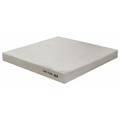 BALDWIN FILTERS PA30325 Panel Cabin Air Filter - Panel Cabin Air Filters