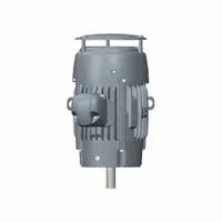 U.S. MOTORS General Purpose Motor: Rigid Base Mount, Totally Enclosed Fan Cooled, 75 hp, 380V AC (MPN CD75P2FSCR)