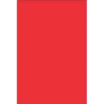 ACCUFORMNMC Gauge Marking Labels: Red, 8 in Label Wd, 12 in Label Ht