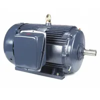 MARATHON MOTORS General Purpose Motor: Rigid Base Mount, Totally Enclosed Fan Cooled, 150 hp (MPN 445TSTFCD6001)