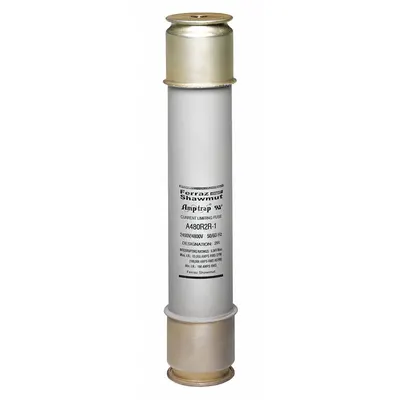 MERSEN Medium Voltage Fuse: A480R Series, R-Rated, 4.8 kV AC, 170 A, Time-Delay - Time-Delay Cylindrical Fuses