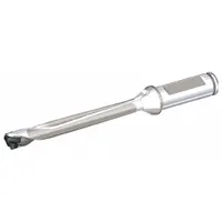 WIDIA Exchangeable Drill Tip: TDM0906R8SCF100 (MPN 4099079)