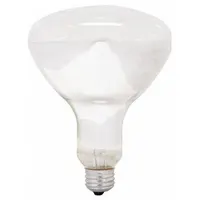 Incandescent reflector heat lamp with R40 shape, clear finish, and medium screw (E26) base. Operates at 120V AC with 250W power and 2700K color temperature. Suitable for industrial heating applications such as food warming, paint drying, and animal brooding