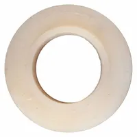 SPEEDAIRE Throttle Valve Seat: Mfr Part # TT24605G