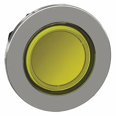 SCHNEIDER Flush Push Button: 30 mm Mounting Size, Metallic - Illuminated Flush-Mount Push-Button Operators