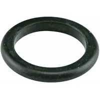 BALDWIN FILTERS D-Ring Seal: Fuel Filter, D-Ring Seal, Buna-N, 11/64 in Lg, 61/64 in Inside Dia. (MPN ES24-D)