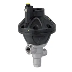 Pneumatic Valves - PN2S/300