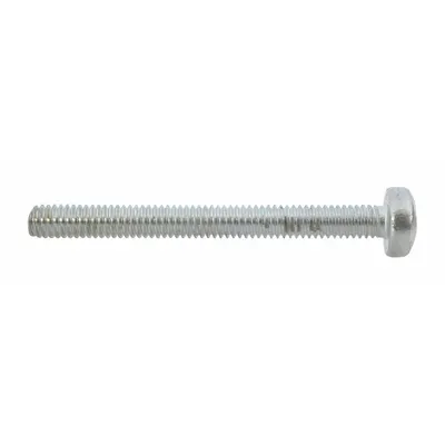 DAYTON Cross Slotted Machine Screw, 2 PK, Fits Dayton Brand - GGS Material Handling Parts